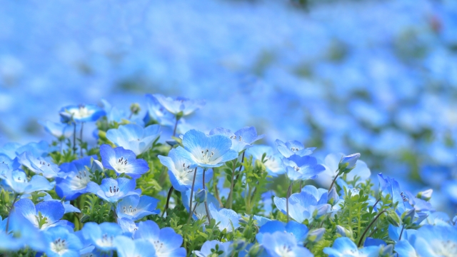 【5月】休診日・診療時間変更のお知らせ