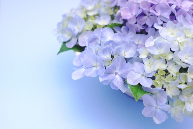【5月・6月】休診日・診療時間変更のお知らせ